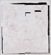Hair and caulk on large format laser print title: Untitled