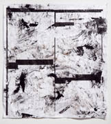 Hair and caulk on large format laser print title: Untitled