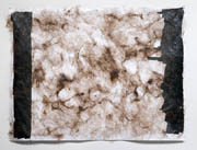 Hair and caulk on large format laser print title: Untitled