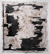Hair and caulk on large format laser print title: Untitled