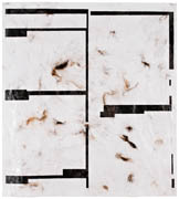 Hair and caulk on large format laser print title: Untitled