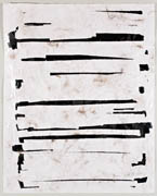 Hair and caulk on large format laser print title: Untitled