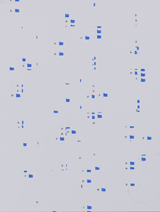 Title: Untitled Media: Pigment and graphite on paper